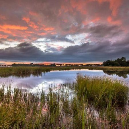 Chalet Het Wollinghuisje Vlagtwedde Екстер'єр фото