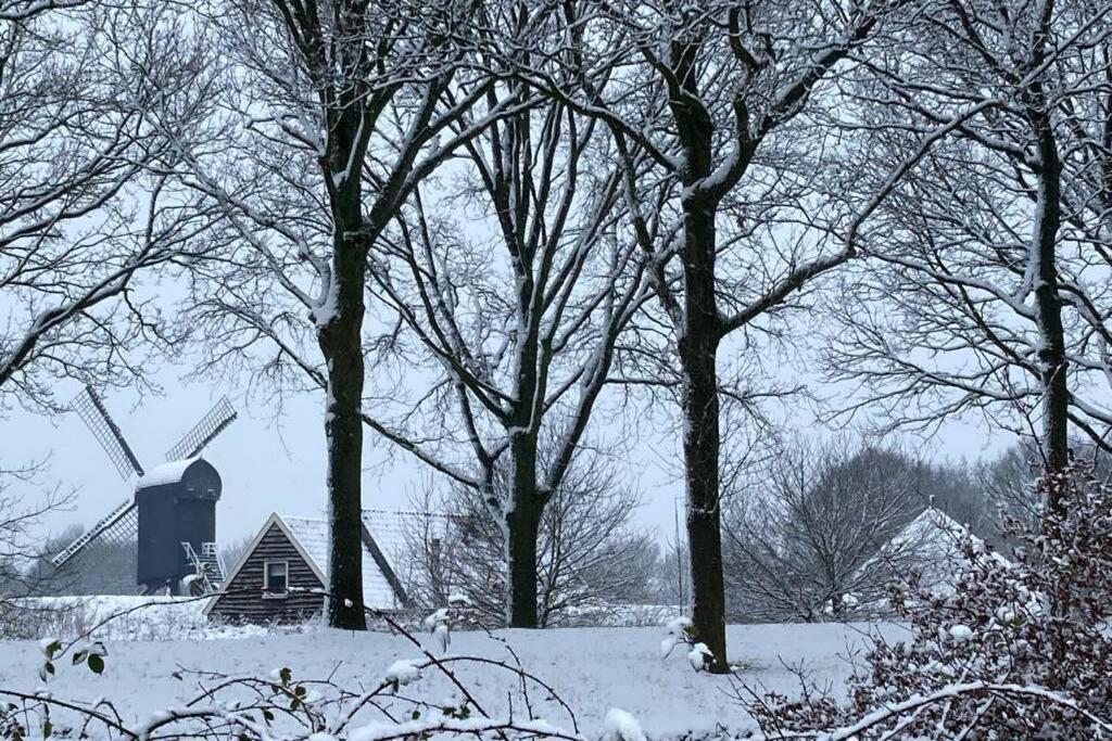 Chalet Het Wollinghuisje Vlagtwedde Екстер'єр фото
