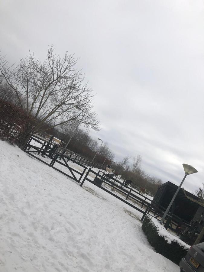 Chalet Het Wollinghuisje Vlagtwedde Екстер'єр фото